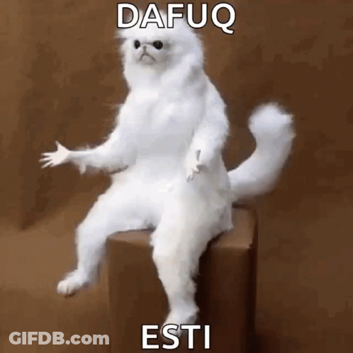 A White Cat Is Sitting On A Box With The Words Dafuq Esti Written On It . GIF