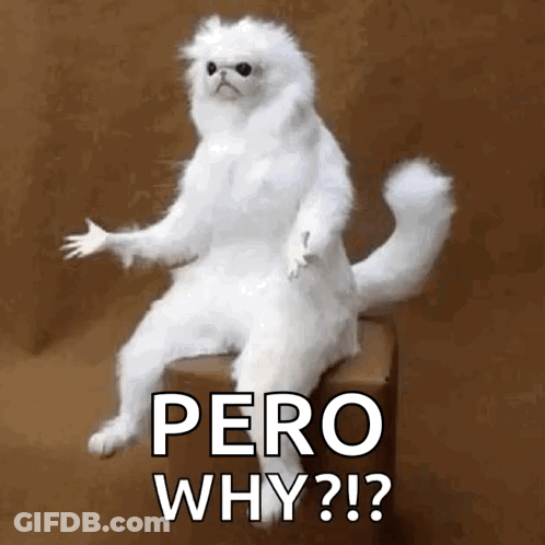 A White Cat Is Sitting On A Box With The Words Pero Why ? Written On It . GIF