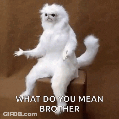 A White Cat Is Sitting On A Box With The Words `` What Do You Mean Brother '' Written Below It . GIF