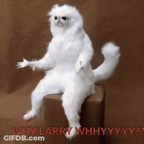 A White Cat Is Sitting On A Box With The Words " Why Larry Why Why Why Why Why " GIF