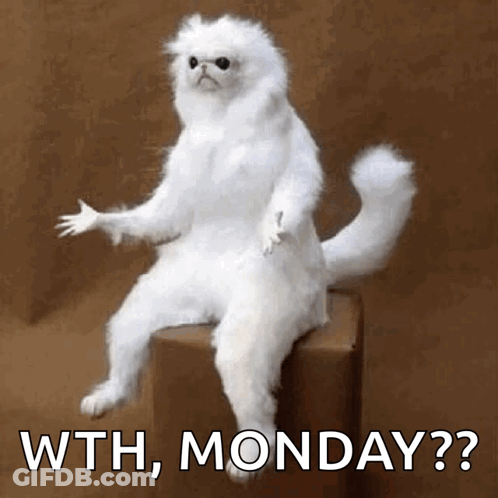 A White Cat Is Sitting On A Box With The Words Wth , Monday ? Written On It . GIF