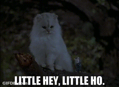 A White Cat Is Sitting On A Tree Branch With The Words Little Hey Little Ho Below It GIF