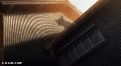 A White Cat Is Sitting On The Roof Of A Corrugated Metal Building GIF