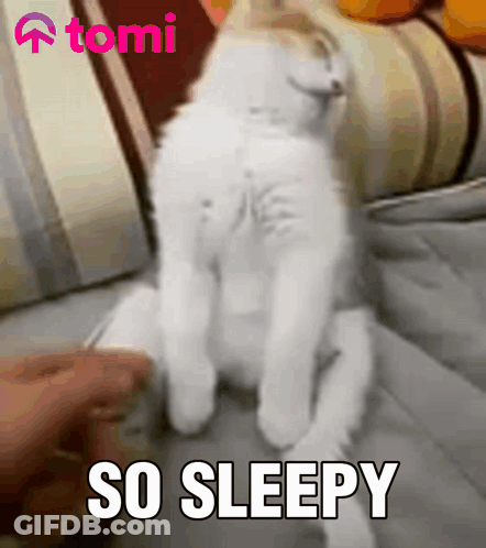A White Cat Is Sleeping On A Bed With The Words So Sleepy Written Above It GIF