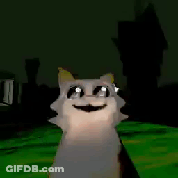 A White Cat Is Smiling And Looking At The Camera While Standing On A Green Field . GIF