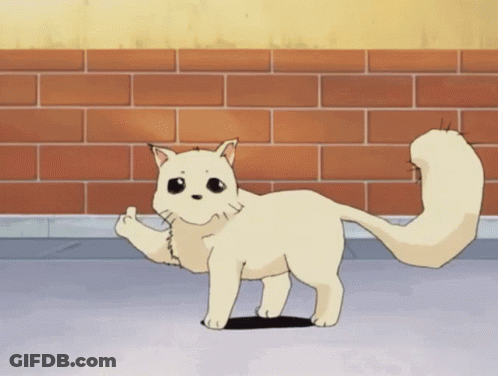 A White Cat Is Standing In Front Of A Brick Wall And Giving The Middle Finger GIF