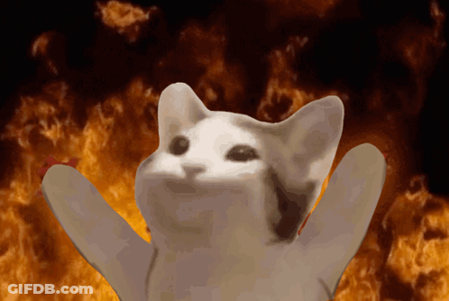 A White Cat Is Standing In Front Of A Fire GIF