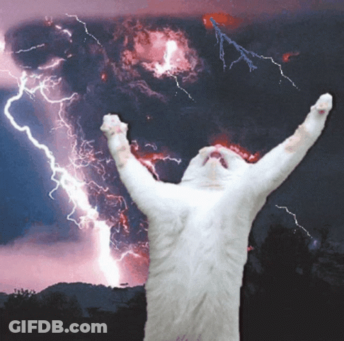 A White Cat Is Standing In Front Of A Lightning Storm With Its Arms In The Air GIF