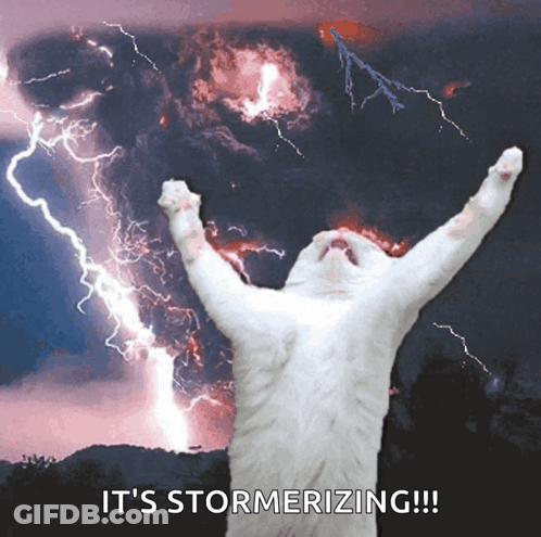 A White Cat Is Standing In Front Of A Lightning Storm With The Words " It 'S Stormerizing " GIF
