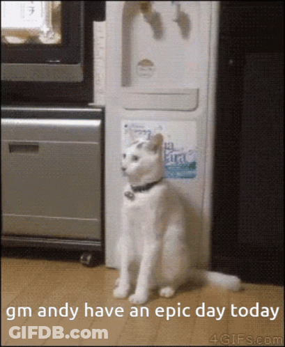 A White Cat Is Standing In Front Of A Water Dispenser And Says Gm Andy Have An Epic Day Today GIF