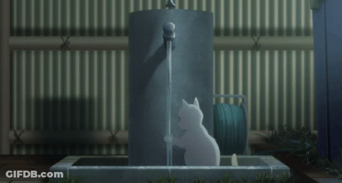 A White Cat Is Standing Next To A Faucet With Water Coming Out Of It GIF