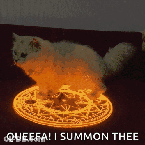 A White Cat Is Standing On A Glowing Circle With The Words Queefa I Summon Thee Below It GIF