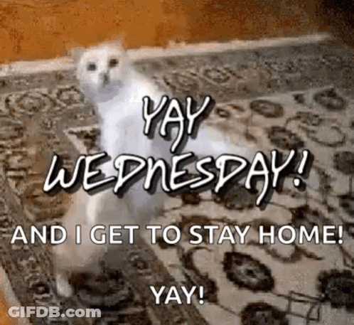 A White Cat Is Standing On A Rug With The Words `` Yay Wednesday And I Get To Stay Home ! '' GIF