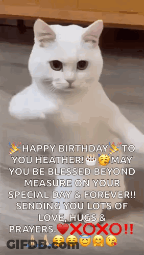 A White Cat Is Standing On Its Hind Legs With A Birthday Message Written On It . GIF