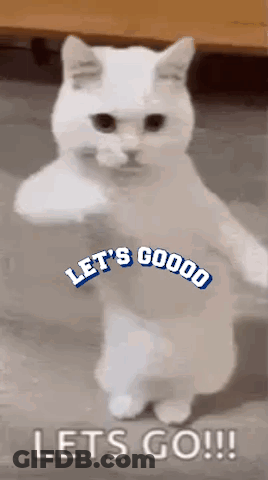 A White Cat Is Standing On Its Hind Legs With Its Paws Up And Says `` Let 'S Go ! '' GIF