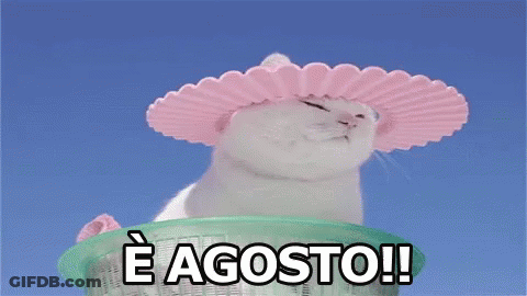 A White Cat Is Wearing A Pink Hat And Sitting In A Basket . GIF