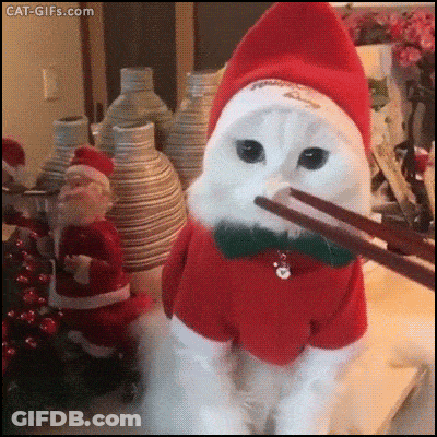 A White Cat Is Wearing A Santa Claus Outfit And Eating With Chopsticks GIF