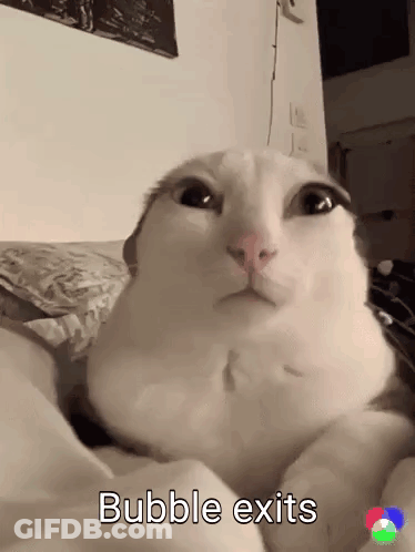 A White Cat Laying On A Bed With The Words " Bubble Exits " Written On The Bottom GIF