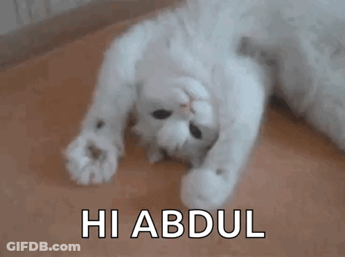 A White Cat Laying On Its Back With The Word Hi Abdul Written On The Bottom GIF