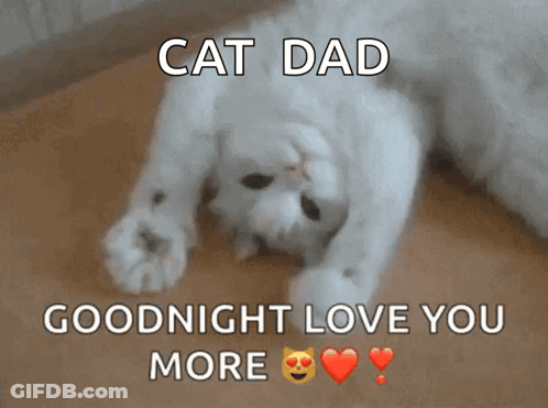 A White Cat Laying On Its Back With The Words Cat Dad Goodnight Love You More Above It GIF