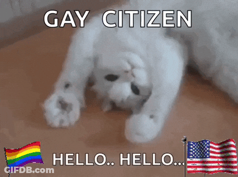 A White Cat Laying On The Floor With The Words Gay Citizen Written Above It GIF