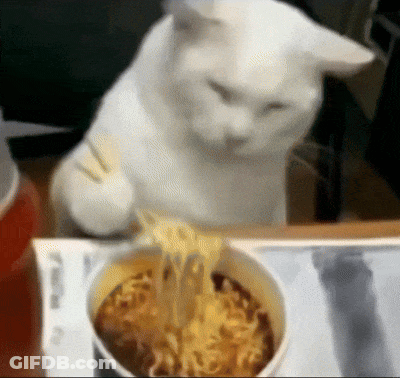 A White Cat Sitting At A Table Eating Noodles GIF