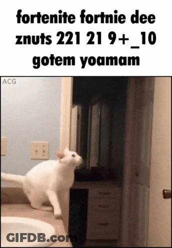 A White Cat Standing On A Counter Next To A Sink With The Caption Fortenite Fortnie Dee GIF