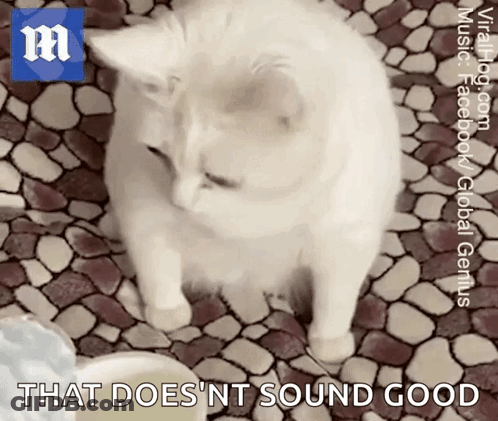 A White Cat Standing On A Tiled Floor With The Words That Does Nt Sound Good GIF