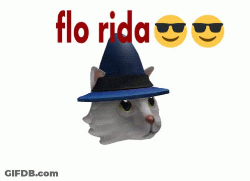 A White Cat Wearing A Blue Hat With The Words Flo Rida Written Above It GIF