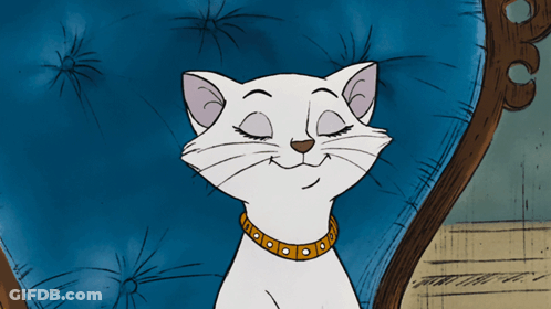 A White Cat Wearing A Gold Collar Is Sitting On A Blue Chair With Its Eyes Closed GIF