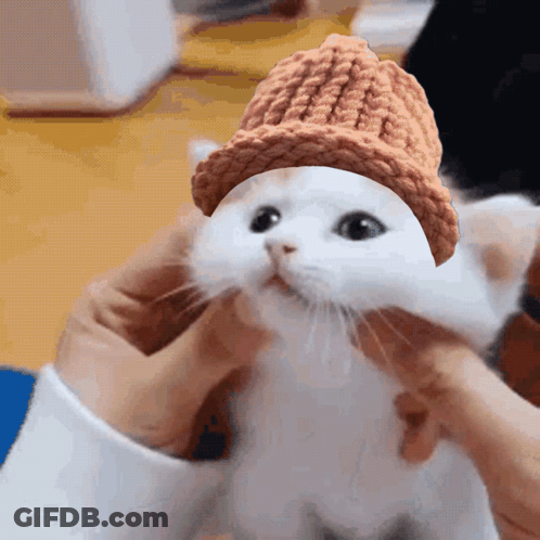 A White Cat Wearing A Knitted Hat Is Being Held By A Person GIF