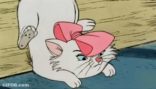 A White Cat Wearing A Pink Bow On Its Head GIF