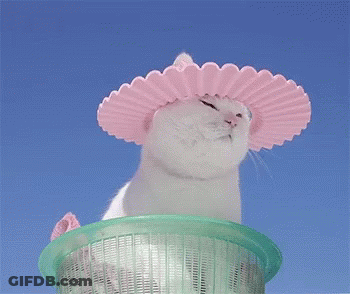 A White Cat Wearing A Pink Hat Is In A Green Basket . GIF