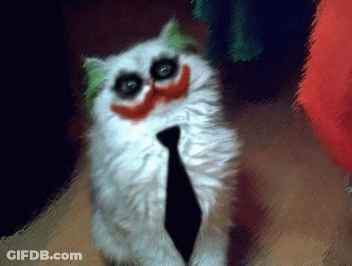A White Cat Wearing A Tie And A Clown Face GIF