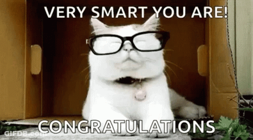 A White Cat Wearing Glasses Is In A Cardboard Box . GIF