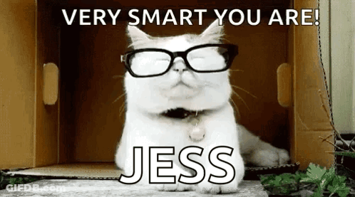 A White Cat Wearing Glasses Is Sitting In A Cardboard Box With The Words `` Very Smart You Are ! '' GIF