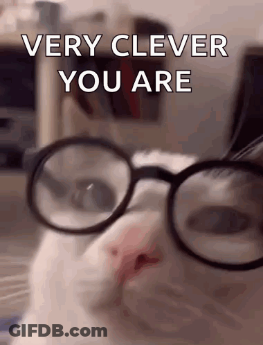 A White Cat Wearing Glasses With The Words Very Clever You Are On The Bottom GIF