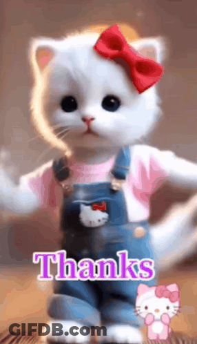 A White Cat Wearing Overalls And A Hello Kitty Shirt Says Thanks . GIF