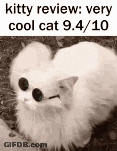 A White Cat Wearing Sunglasses Is Laying On The Ground GIF