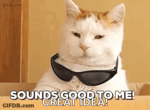 A White Cat Wearing Sunglasses Is Sitting At A Table And Says `` Sounds Good To Me ! Great Idea ! '' GIF