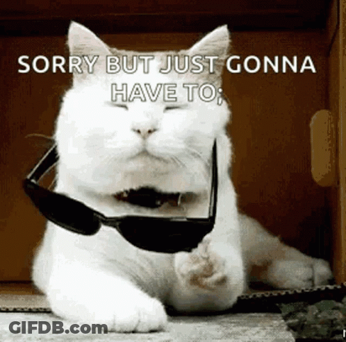 A White Cat Wearing Sunglasses With The Words Sorry But Just Gonna Have To GIF