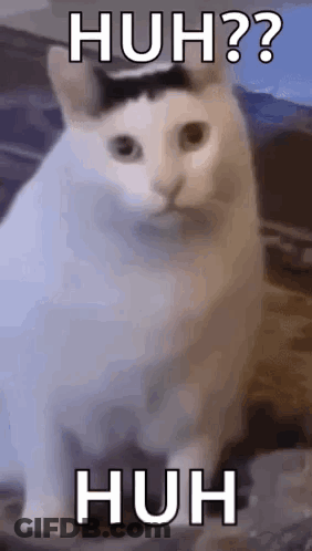 A White Cat With A Black Spot On Its Head Is Sitting On A Couch With The Words `` Huh ? '' Written On It . GIF