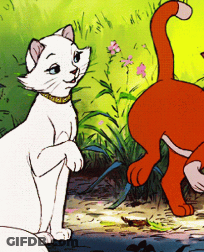 A White Cat With A Gold Collar Stands Next To A Red Cat GIF