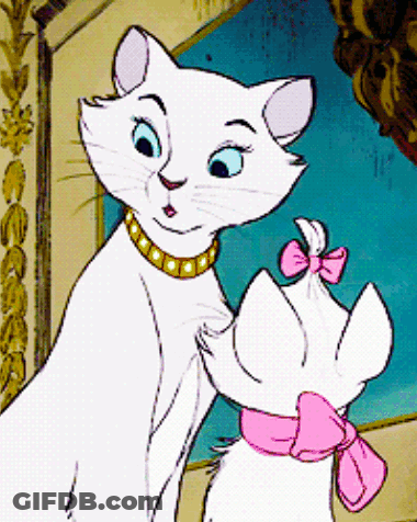 A White Cat With A Gold Necklace And A Pink Bow On Its Neck GIF