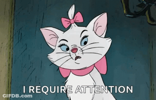 A White Cat With A Pink Bow And The Words " I Require Attention " Below It GIF