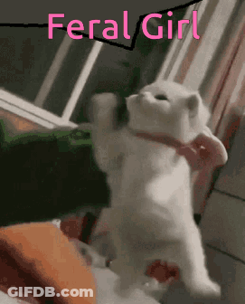 A White Cat With A Pink Bow Around Its Neck Is Standing Up GIF