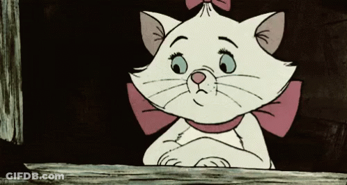 A White Cat With A Pink Bow On Its Head Is Looking Out A Window GIF