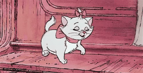 A White Cat With A Pink Bow On Its Head Is Walking On A Pink Floor . GIF