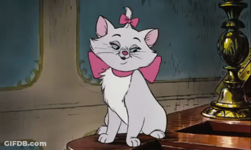 A White Cat With A Pink Bow On Its Neck Is Sitting On A Table GIF