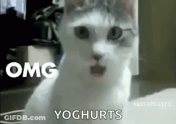 A White Cat With A Surprised Look On Its Face Is Sitting On The Floor . GIF